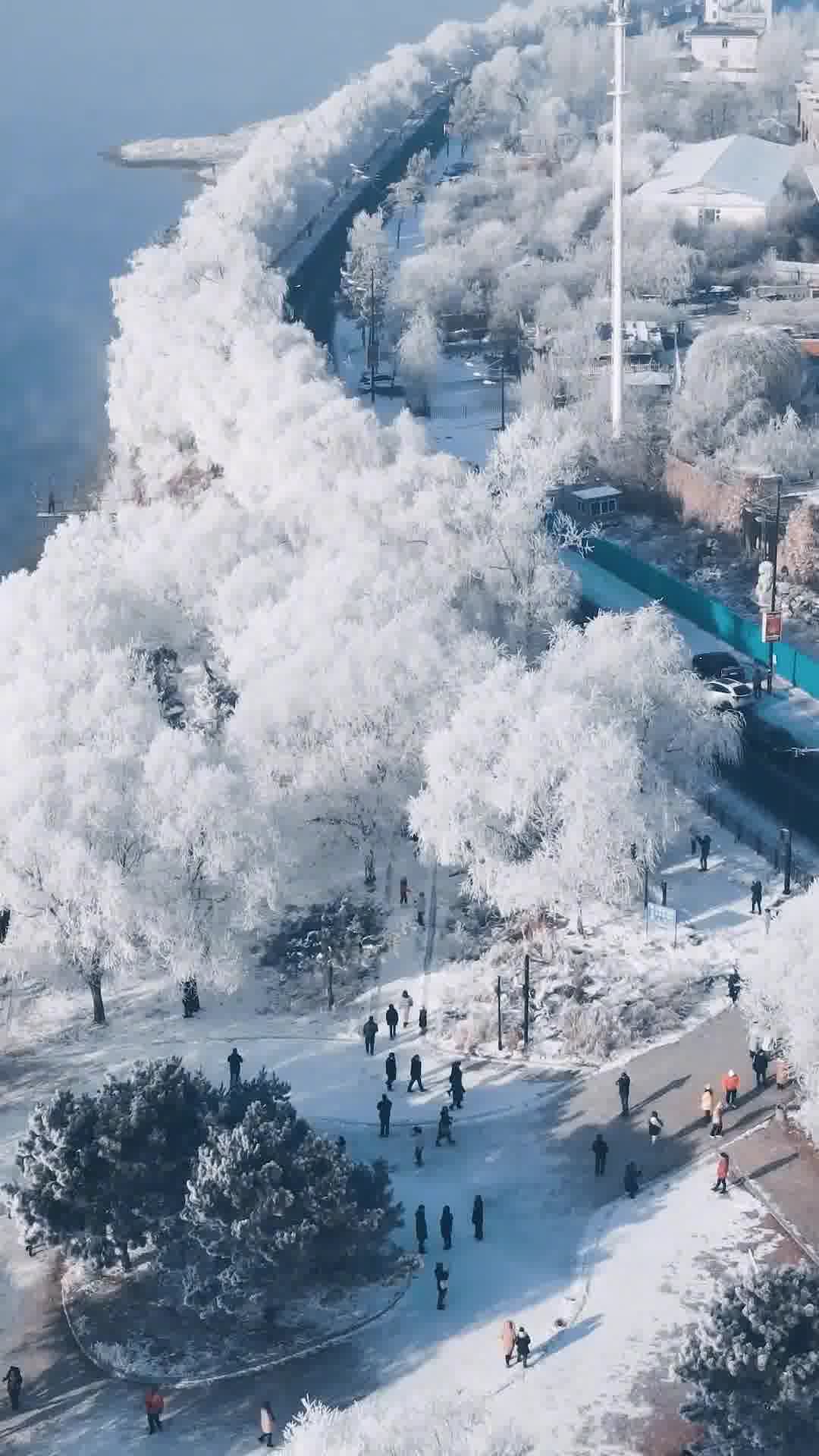 吉林，东北明珠，国之骄傲