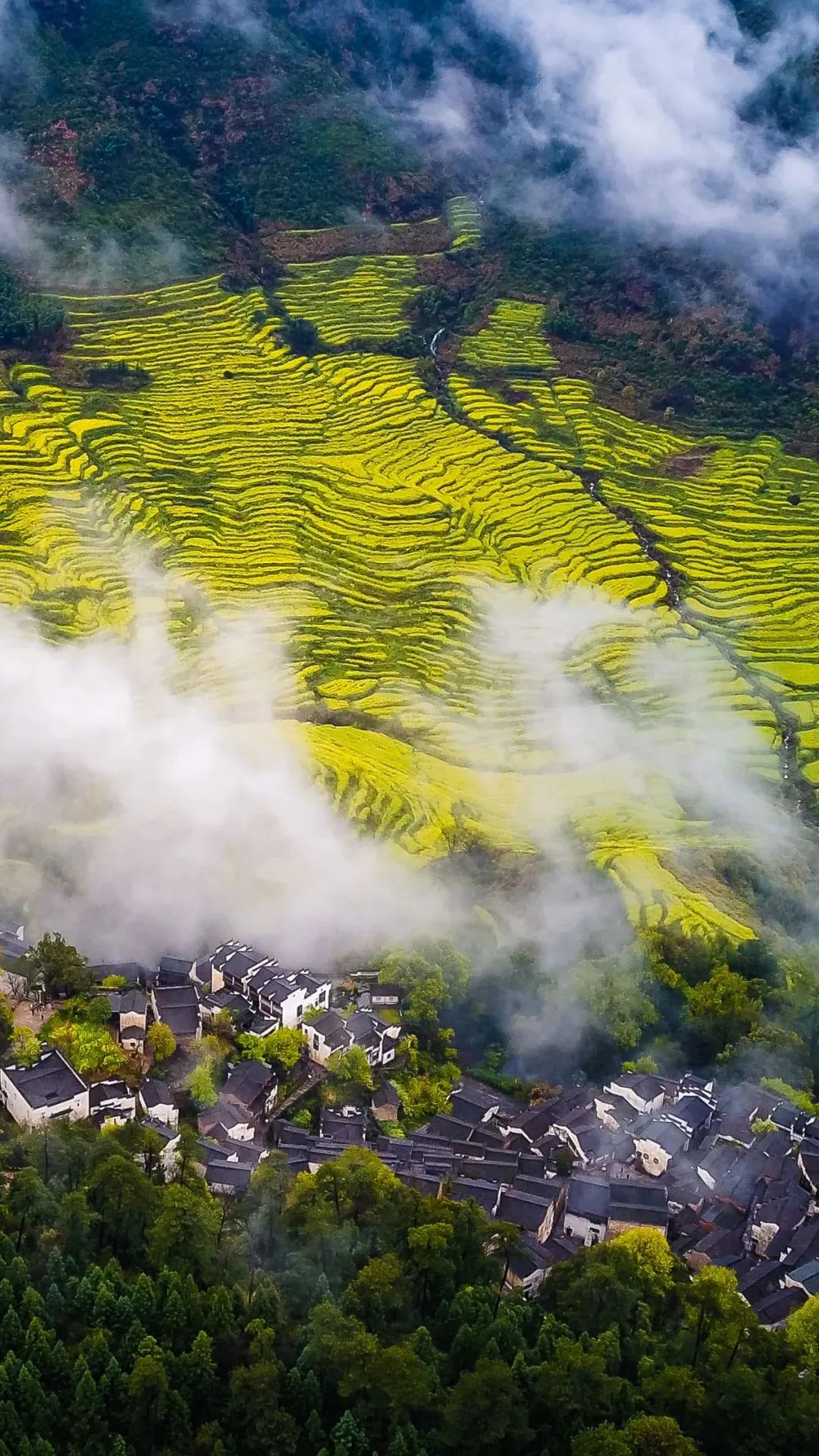 江西之声,播音稿里的江西故事