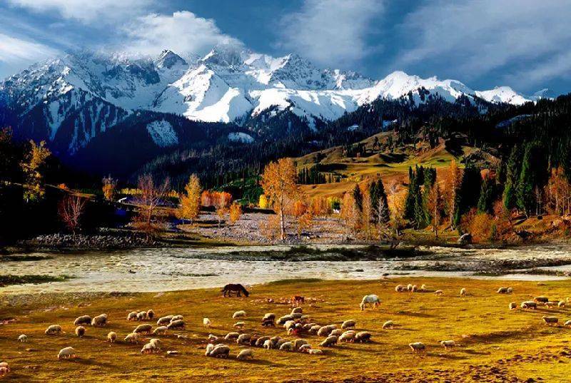 新疆,新疆,巷弄中的隐秘美味