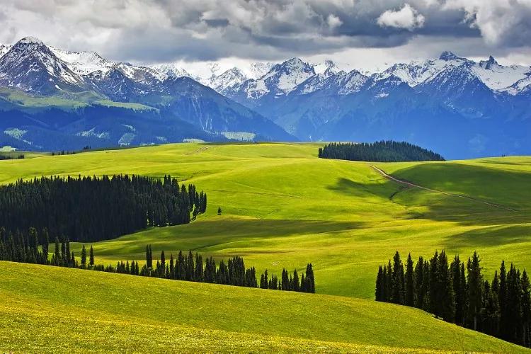 丝路明珠,新疆——多元文化交融的魅力之城